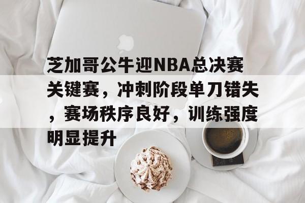 芝加哥公牛迎NBA总决赛关键赛，冲刺阶段单刀错失，赛场秩序良好，训练强度明显提升的简单介绍